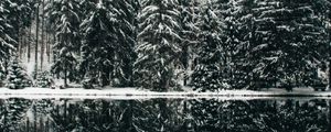 Preview wallpaper spruce, trees, snow, lake, reflection