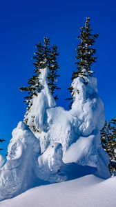 Preview wallpaper spruce, trees, snow, snowy, winter