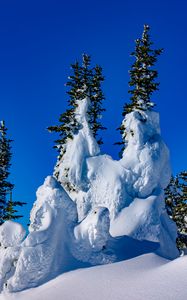 Preview wallpaper spruce, trees, snow, snowy, winter