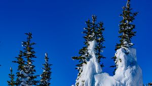 Preview wallpaper spruce, trees, snow, snowy, winter