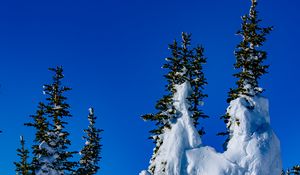 Preview wallpaper spruce, trees, snow, snowy, winter