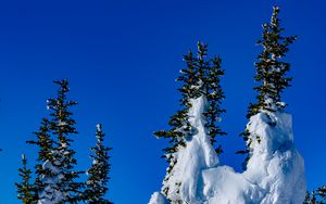 Preview wallpaper spruce, trees, snow, snowy, winter