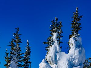 Preview wallpaper spruce, trees, snow, snowy, winter