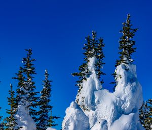 Preview wallpaper spruce, trees, snow, snowy, winter