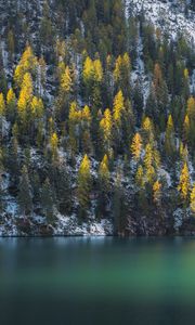 Preview wallpaper spruce, trees, water, lake, snowy