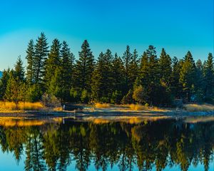 Preview wallpaper spruces, forest, lake, reflection, nature