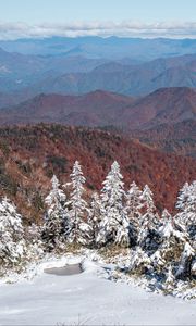 Preview wallpaper spruces, snow, winter, mountains, landscape