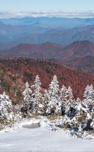 Preview wallpaper spruces, snow, winter, mountains, landscape