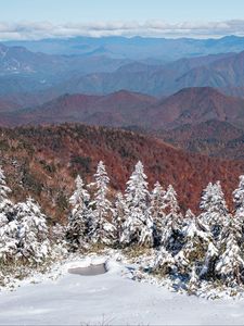 Preview wallpaper spruces, snow, winter, mountains, landscape