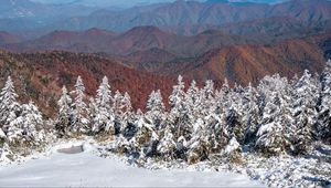 Preview wallpaper spruces, snow, winter, mountains, landscape