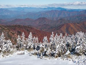 Preview wallpaper spruces, snow, winter, mountains, landscape