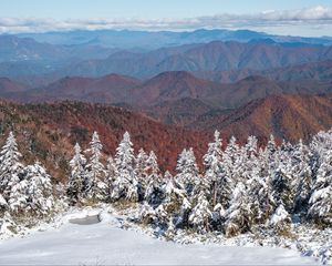 Preview wallpaper spruces, snow, winter, mountains, landscape