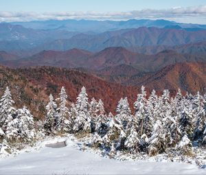 Preview wallpaper spruces, snow, winter, mountains, landscape