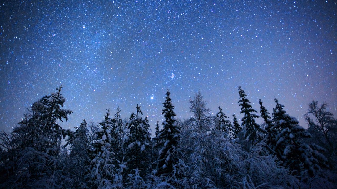 Wallpaper spruces, trees, snow, winter, stars, night, nature