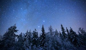 Preview wallpaper spruces, trees, snow, winter, stars, night, nature