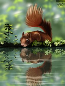 Preview wallpaper squirrel, beast, reflection, art
