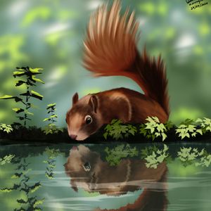 Preview wallpaper squirrel, beast, reflection, art