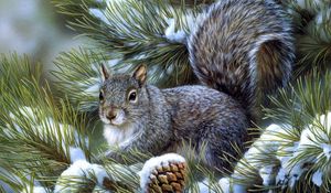 Preview wallpaper squirrel, spruce, sitting, tree