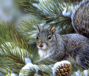 Preview wallpaper squirrel, spruce, sitting, tree