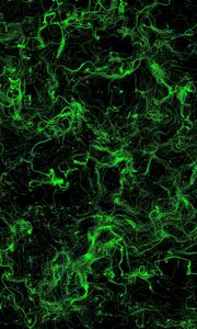 Preview wallpaper stains, green, background, abstraction