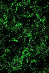 Preview wallpaper stains, green, background, abstraction