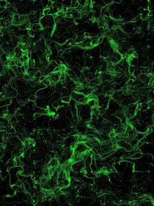 Preview wallpaper stains, green, background, abstraction