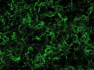 Preview wallpaper stains, green, background, abstraction