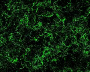 Preview wallpaper stains, green, background, abstraction
