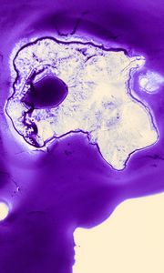 Preview wallpaper stains, liquid, macro, abstraction, purple