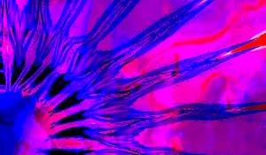 Preview wallpaper stains, stripes, abstraction, purple, blue, bright