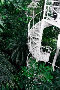 Preview wallpaper staircase, circular, botanical garden, green, plants