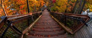 Preview wallpaper stairs, autumn, trees, steps, forest