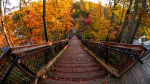 Preview wallpaper stairs, autumn, trees, steps, forest