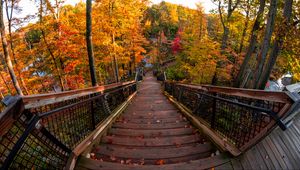 Preview wallpaper stairs, autumn, trees, steps, forest