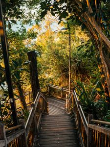 Preview wallpaper stairs, descent, trees, plants, tropics