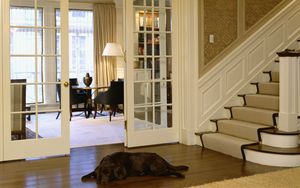 Preview wallpaper stairs, dog, corridor