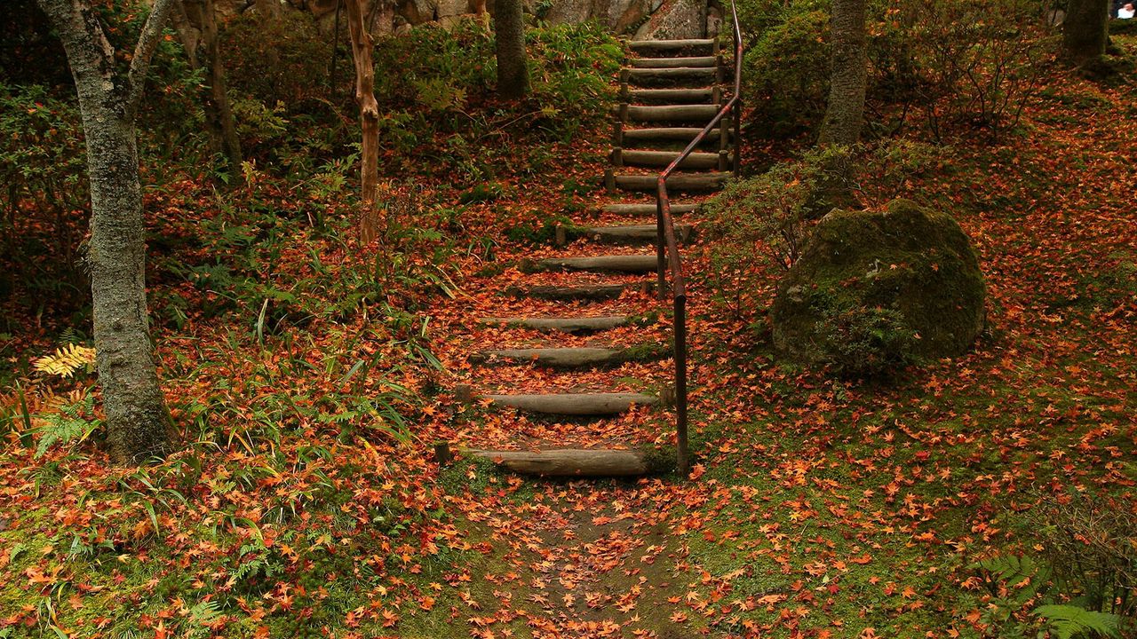 Wallpaper stairs, fall, foliage