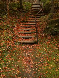 Preview wallpaper stairs, fall, foliage