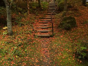 Preview wallpaper stairs, fall, foliage
