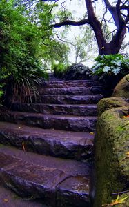 Preview wallpaper stairs, foliage, trees, moss, autumn