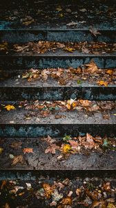 Preview wallpaper stairs, leaves, autumn