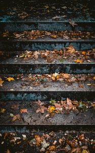 Preview wallpaper stairs, leaves, autumn