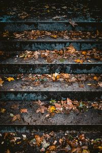 Preview wallpaper stairs, leaves, autumn