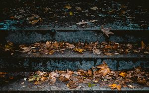 Preview wallpaper stairs, leaves, autumn