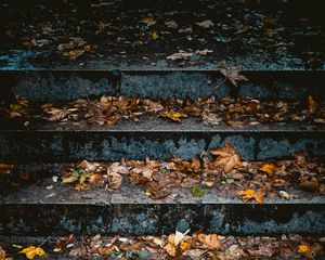 Preview wallpaper stairs, leaves, autumn