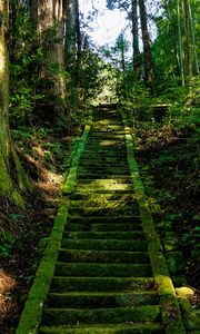 Preview wallpaper stairs, moss, trees, japan