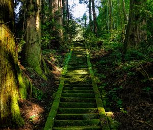 Preview wallpaper stairs, moss, trees, japan