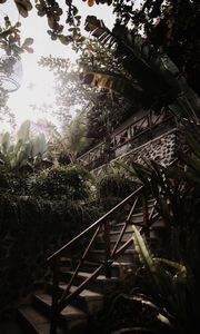 Preview wallpaper stairs, plants, tropical, decorative, building