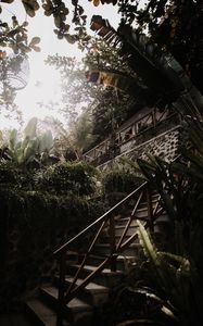 Preview wallpaper stairs, plants, tropical, decorative, building