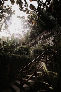 Preview wallpaper stairs, plants, tropical, decorative, building